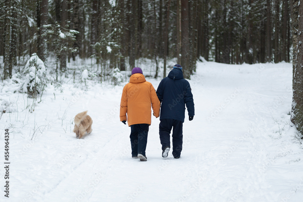 An elderly couple, a woman and a man walk with a dog in a winter forest.