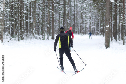 Cross Country skill. Skiing in the winter forest.