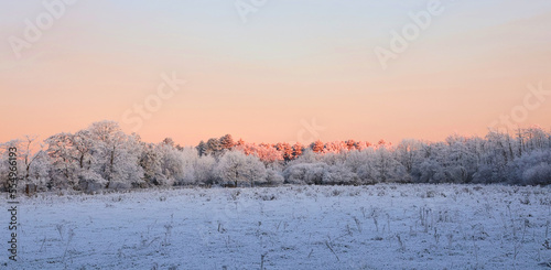 Beautiful panoramic snowy landscape. Winter landscape. photo