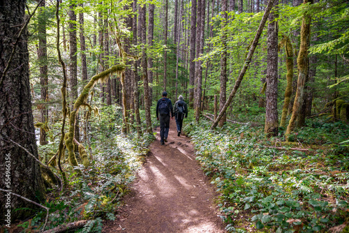 Adventurous athletic male hikers, hiking along a forest trail in the Pacific Northwest.
