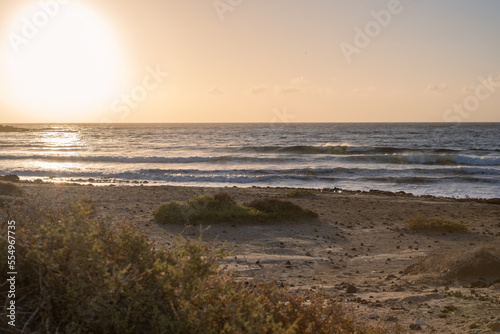 Sunrise on the beach. Orange sky due to haze. Rocks, sand and desert plants, in the background the sun rises over the horizon over the ocean. El Medano, Tenerife, Canary Islands, Spain.