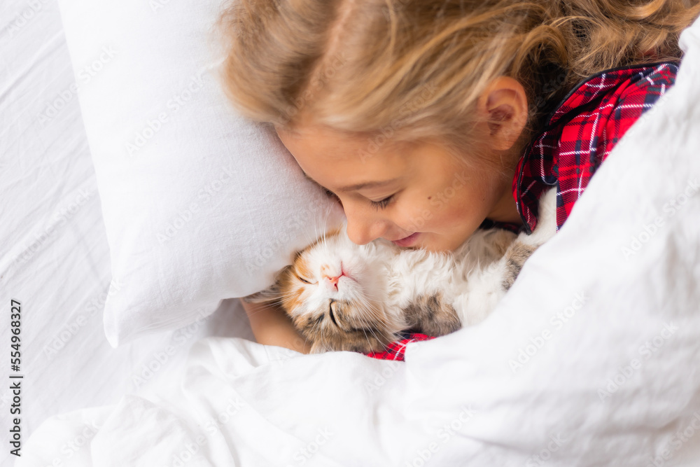 a cute little girl is sleeping sweetly at home in a rabbit with a kitten. White cotton bed linen. Christmas holidays. Children and pets at home a cute little girl is sleeping sweetly at home in a rabbit with a kitten. White cotton bed linen. Christmas holidays. Children and pets at home