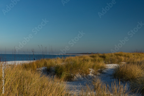 Fototapeta Naklejka Na Ścianę i Meble -  A view of the dunes in Sobieszewo on the Gulf of Gdansk