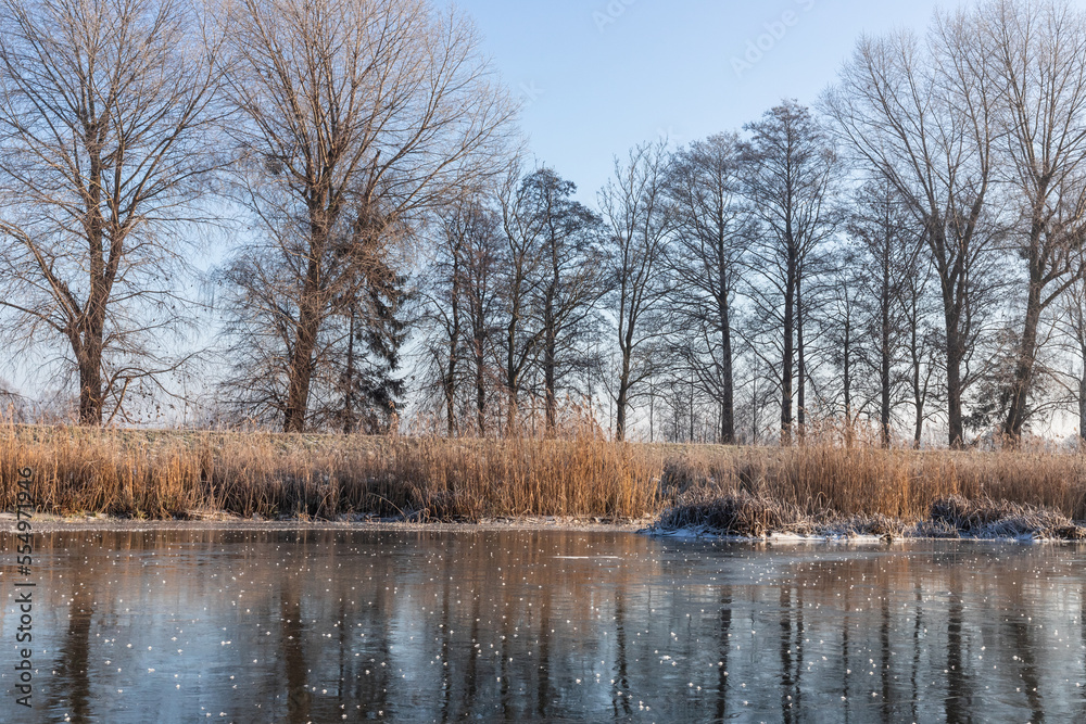 Trees on a frozen river