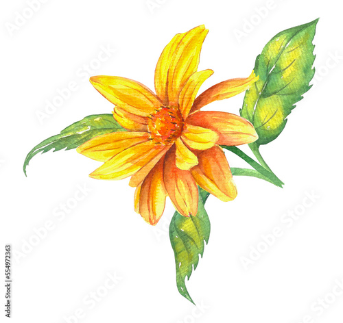 Watercolor illustration of a yellow flower with green leaves.