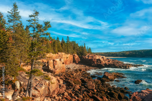  Rocky coast of the ocean and coniferous forest on the shore of rocks. Acadia National Park. USA.