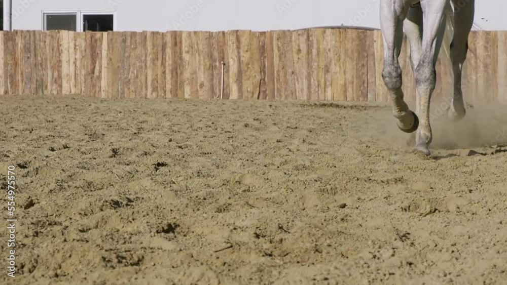 Slow motion, horse hooves galloping on the dusty road lift the dust. riding in the manege