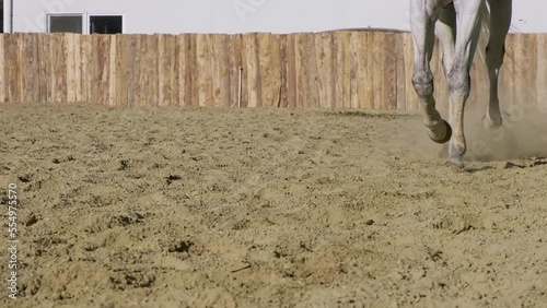Slow motion, horse hooves galloping on the dusty road lift the dust. riding in the manege