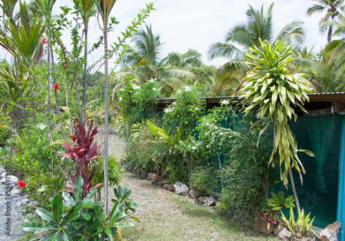 New Caledonia's Lifou Island Residential Garden