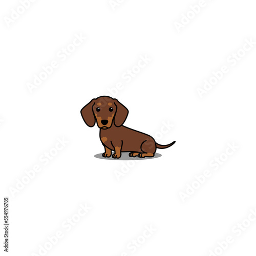 Cute dachshund dog chocolate and tan sitting cartoon, vector illustration photo