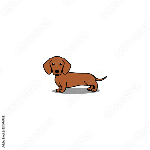 Cute dachshund dog red color cartoon, vector illustration