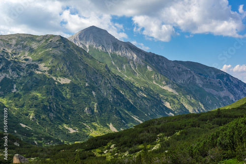 Pirin Mountain near Banderitsa River  Bulgaria
