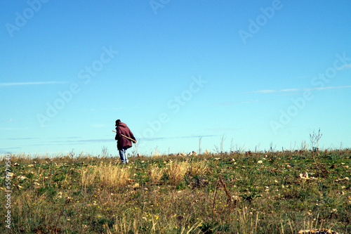 Canvastavla Pastore solitario di un greggio di pecore col bastone in campagna