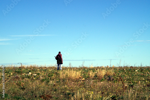 Canvastavla Pastore solitario di un greggio di pecore col bastone in campagna
