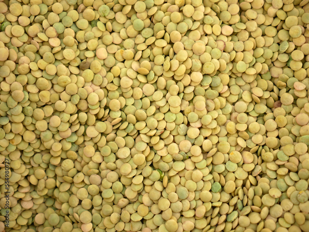 protein source, natural green dried lentils, useful dried legumes, protein source, natural green dried lentils, useful dried legumes,