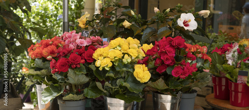 Bilde på lerret Devanture d'un magasin de fleurs