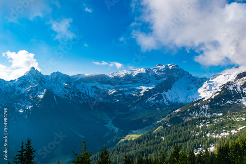 Fototapeta Naklejka Na Ścianę i Meble -  snowy mountains peaks in the alps (Vorarlberg, Austria)