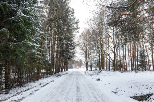 Snowy road in winter forest. © Sergey Fedoskin