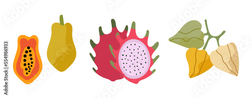 Papaya, dragon fruit and gooseberry. Hand drawn vector illustration.