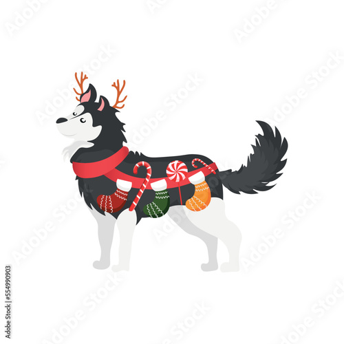 Funny husky dog with Christmas decor on white background