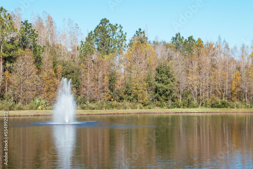 Colorful winter tropical tree leaf and pond 