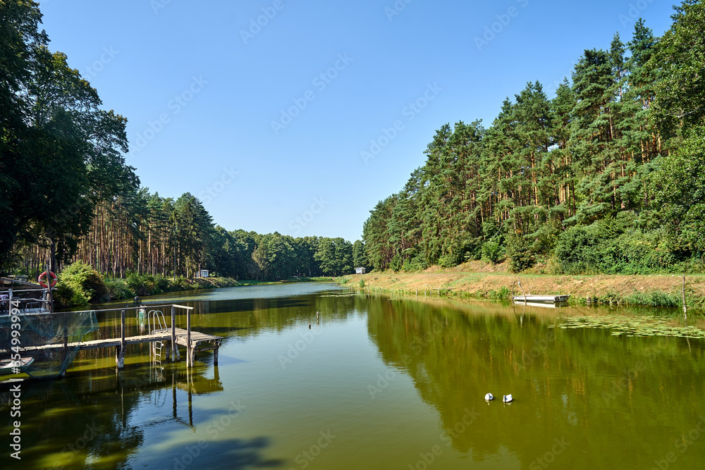 wooden bridge over a pond in the forest during summer