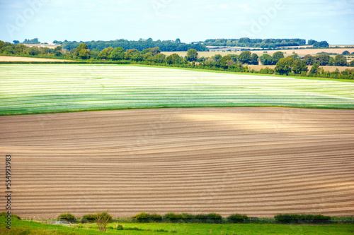 Rural England landscape. Wiltshire. Farming land. Rows. A game of light and shadow.