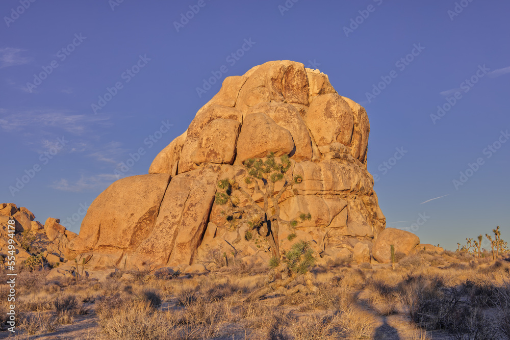 Joshua Tree National Park Rock Formation in Early Morning Light