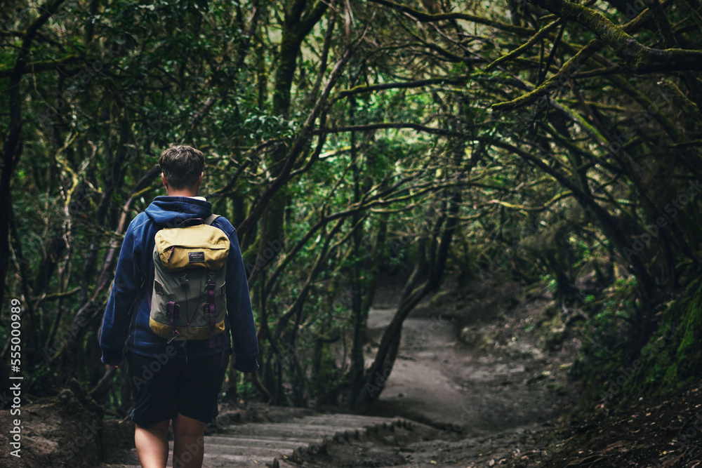 Obraz premium person hiking in the forest, rainforest anaga tenerife