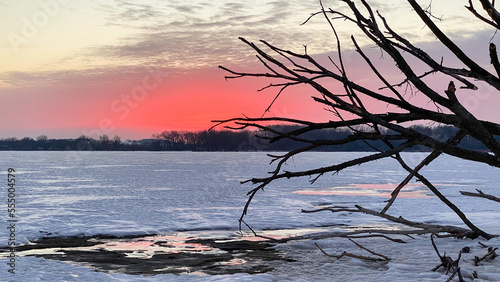 Pink sunset fallen tree on frozen lake