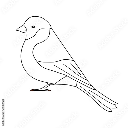 Vector flat hand drawn outline tit bird isolated on white background