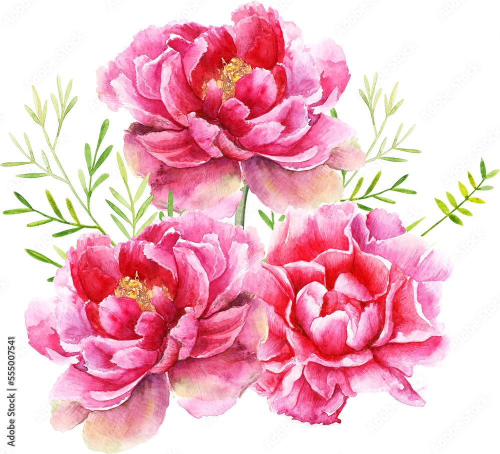 Watercolor Boho Peonies Flowers Red Plants Greenery Birds Rustic barrels Clipart for cards and posters