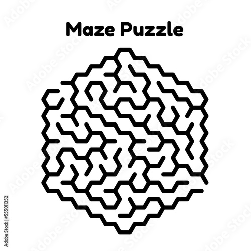 Maze Puzzle