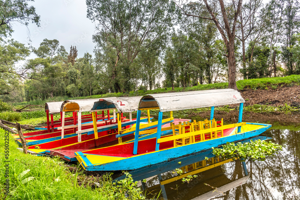 Traditional Mexican trajinera boat in Xochimilco channels and lake of Xochimilco floating in