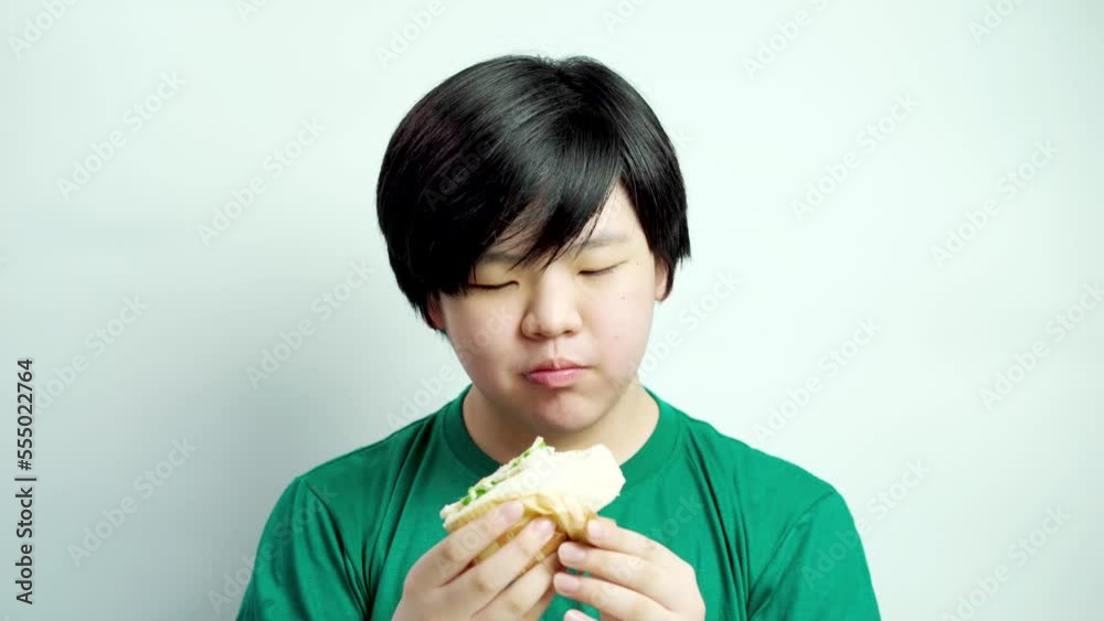 Asian fat boy eating delicious sandwich, wearing a green t-shirt. Concept child health problems, Pathogenic junk food. Asian fat boy eating delicious sandwich, wearing a green t-shirt. Concept child health problems, Pathogenic junk food.
