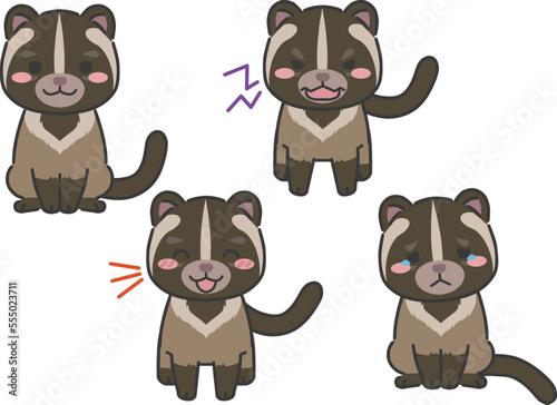 ハクビシンの喜怒哀楽