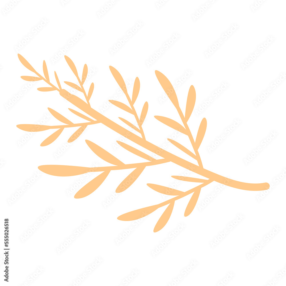 Fototapeta beige aesthetic elements png
