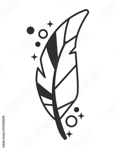 feather bird esoteric