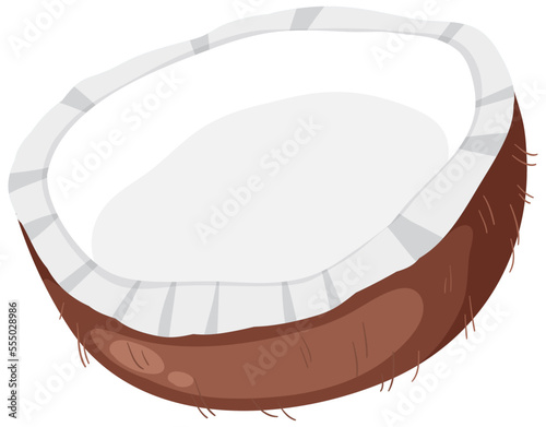 Half of cococnut vector photo