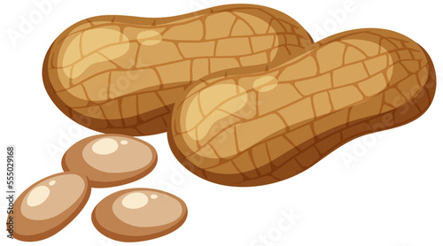 Peanuts isolated on white background