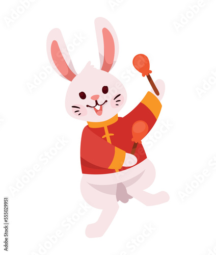 asian rabbit with drumsticks