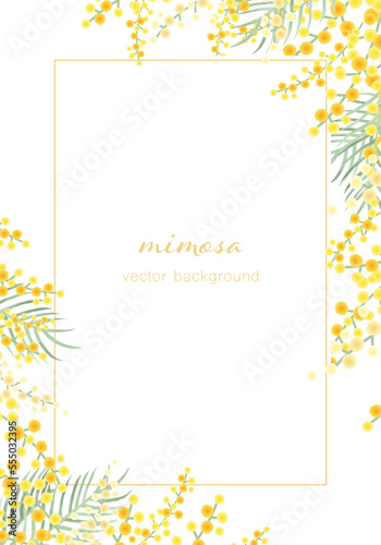 ミモザのベクターイラストフレーム背景