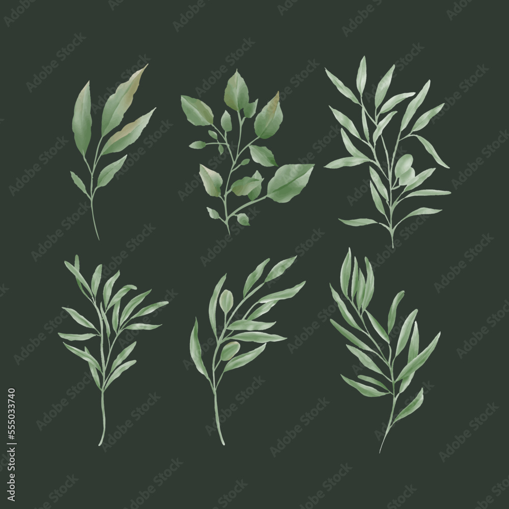 Fototapeta premium Green tree with leaves watercolor