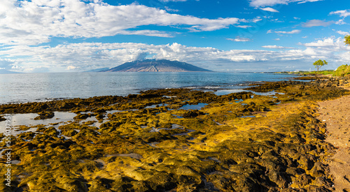 The Exposed Lava Reef of Oneuli Beach, Makena State Park, Maui, Hawaii, USA photo