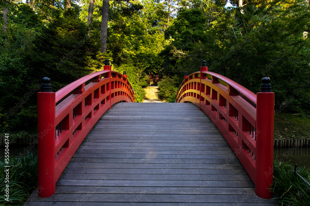 bridge in the park bridge in the park