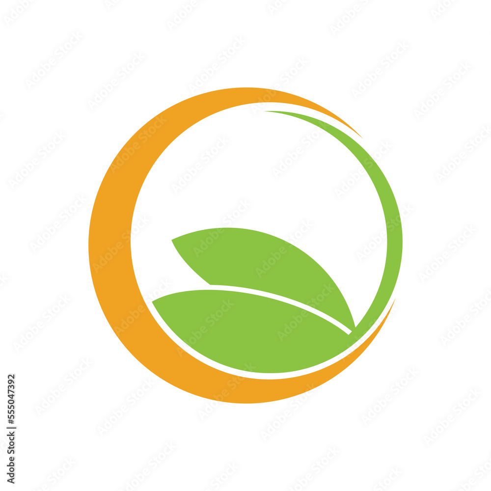 Moringa Leaf Logo Template Vector Symbol Nature Moringa Leaf Logo Template Vector Symbol Nature