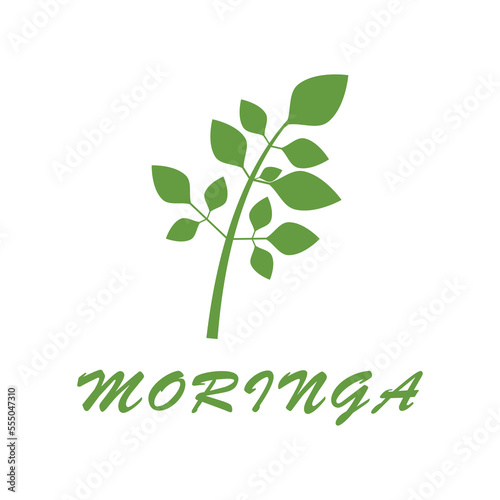 Moringa Leaf Logo Template Vector Symbol Nature © dar