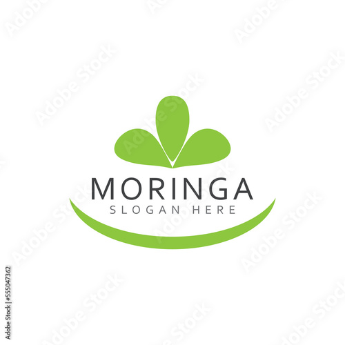 Moringa Leaf Logo Template Vector Symbol Nature