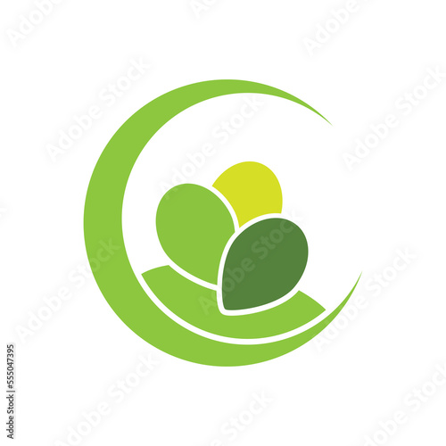 Moringa Leaf Logo Template Vector Symbol Nature