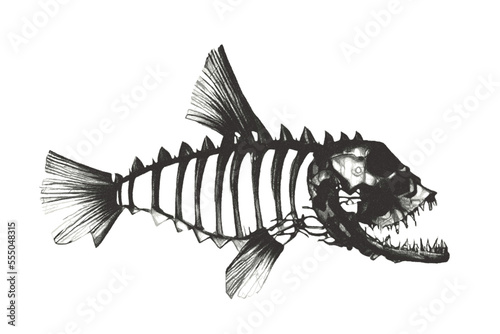 Fish skeleton. Fantastic Se...